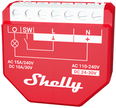 Shelly Wave 1 PM