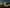 Shelly Pro Dimmer 1PM